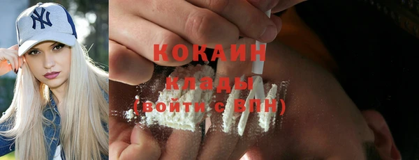 твердый Майский