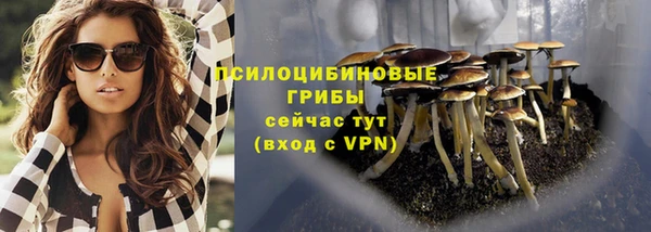 apvp Мегион