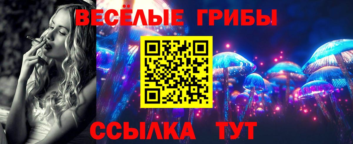 Галлюциногенные грибы мицелий  Вход с VPN  Железноводск 