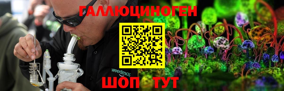 Псилоцибиновые грибы Cubensis  Железноводск 